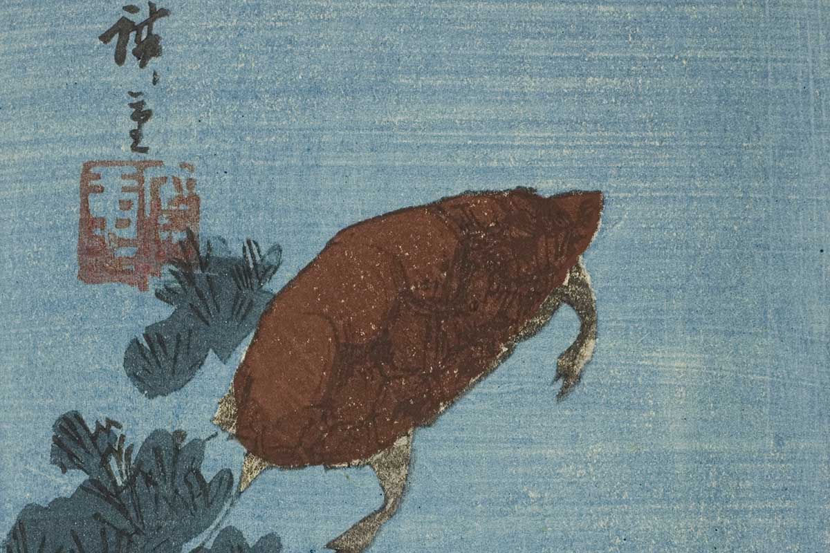 A turtle is painted in a flat Japanese style. It swims in a lake.