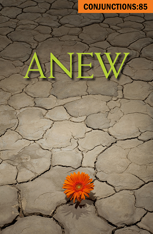 The cover of Conjunctions:85, Anew shows a desert flower blooming on dry ground.