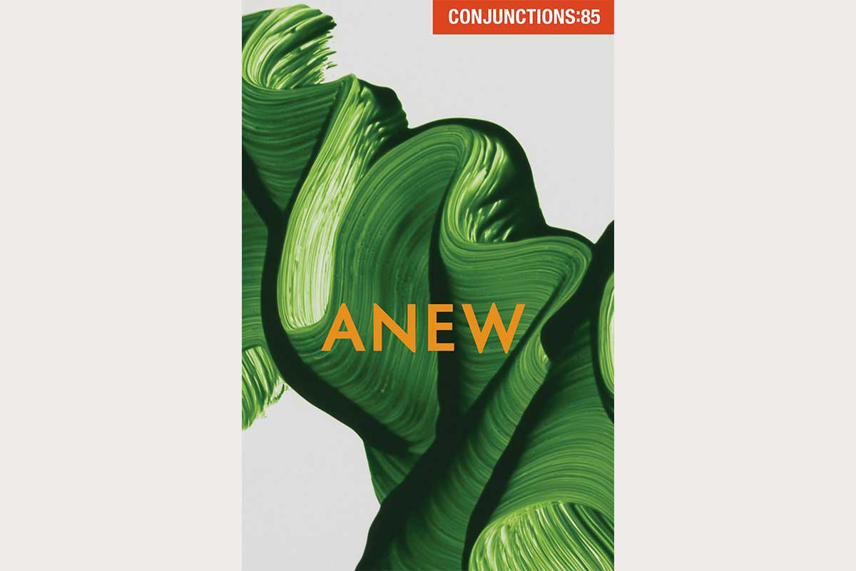 The cover of Conjunctions:85, Anew shows a desert flower blooming on dry ground.