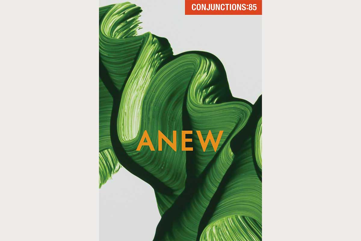 The cover of Conjunctions:85, Anew shows a desert flower blooming on dry ground.